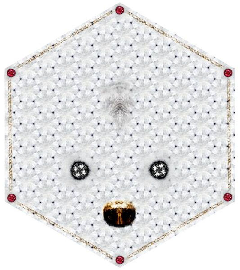 CRISTAL FIRE / CRISTAL ICE / CRISTAL TEDDY