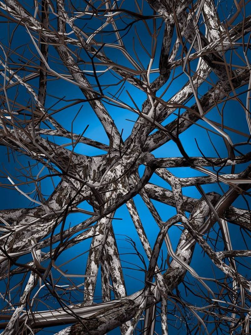 Tapis design 3D LIQUID MAPLE et LIQUID BIRCH – Arrivetz Lyon